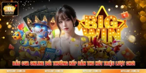 Bầu cua